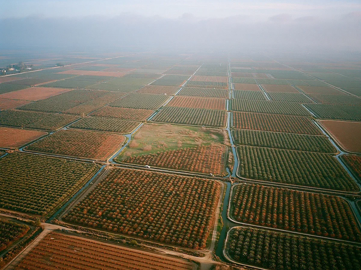 A geometric agricultural landscape viewed from above