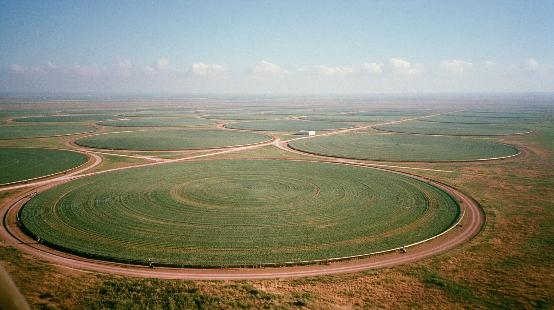 Circular irrigated fields extending across a large agricultural landscape